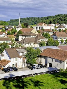 La politique dans le sang