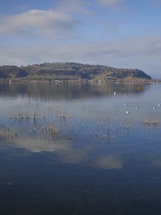 District du lac: exécutifs assez convoités