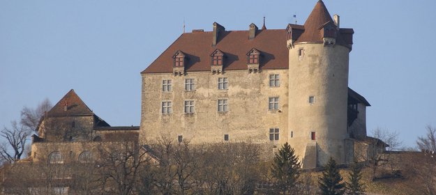 Journée des châteaux suisses