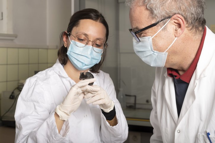 Oriana Coquoz, laborantine en biologie spécialisée, manipule une souris «black 6».  © Charly Rappo