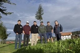 Dresser un sapin devant le bistrot: focus sur une tradition méconnue