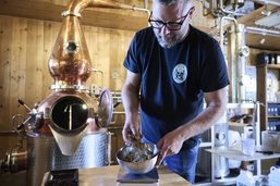 Des Fribourgeois créent des gins avec des produits de la région