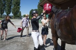 Robin Godel 5e avec la Suisse aux Européens de concours complet