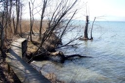 Des mesures pour freiner l’érosion de la rive sud du lac de Neuchâtel