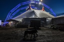 Le cirque Knie reviendra à Fribourg en novembre 2024