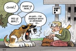 L’Uni de Fribourg engage des chiens pour calmer les étudiants stressés