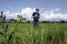 Culture: L’agriculture s’adapte au réchauffement climatique