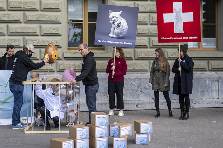 Cinq organisations ont demandé lundi à Berne la fin des expérimentations animales sévères. Elles ont déposé une pétition avec plus de 40'000 paraphes. © KEYSTONE/PETER SCHNEIDER