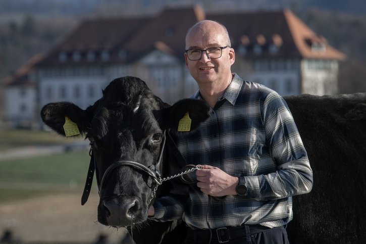 Vaches holsteins: «L’élevage fribourgeois se porte bien»