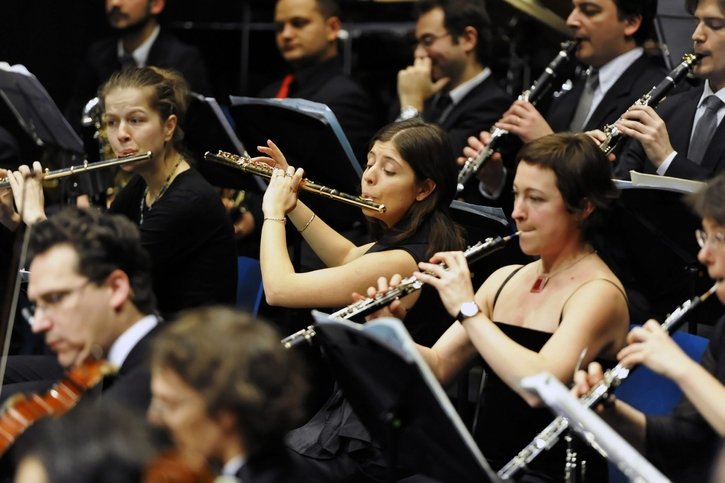 Pierre et le loup permet de faire découvrir les instruments de l’orchestre symphonique aux enfants. © Charles Ellena-archives